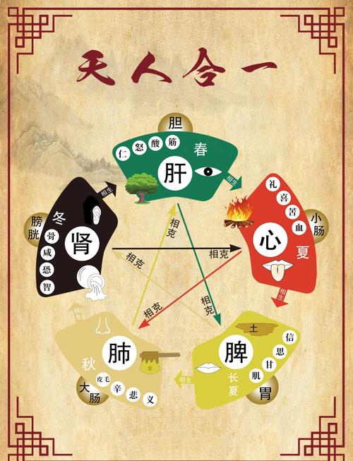 中医基础理论整体观念