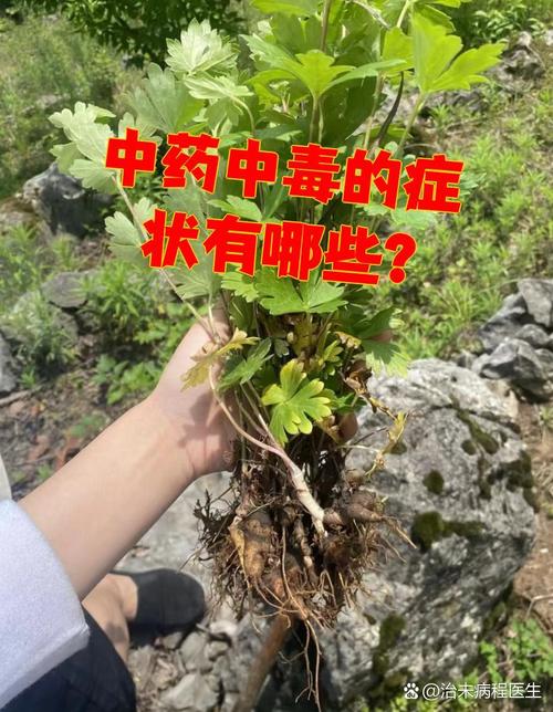 吃了中医开的药中毒了