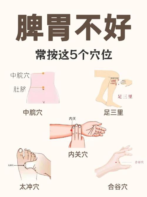 按摩哪个穴位控制饮食