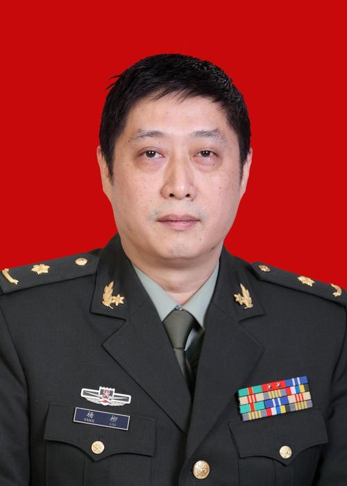 中医杨瑞教授个人简历