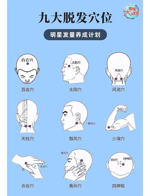 治疗斑秃按摩什么穴位