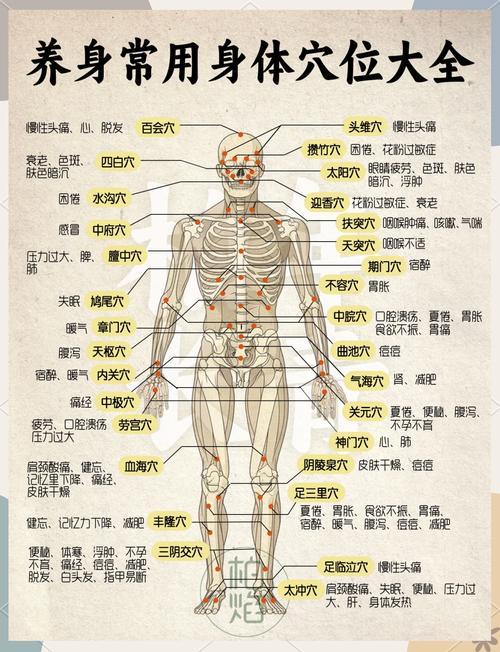 全身按摩推拿穴位方法