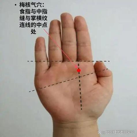 梅核气看中医还是西医