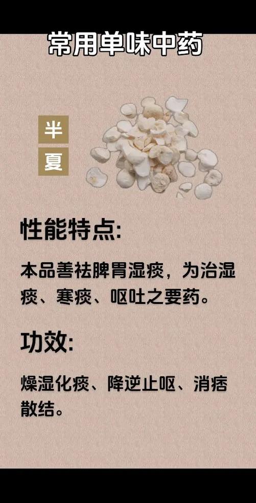 梅核气看中医还是西医