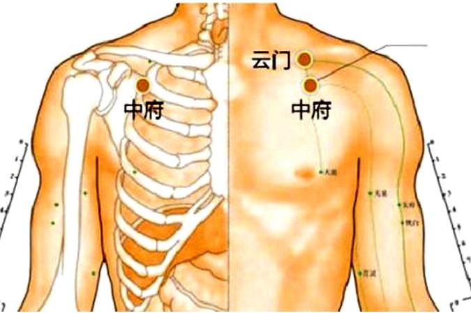 云门 中府穴位位置图