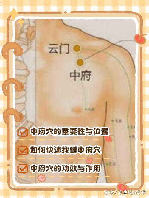 云门 中府穴位位置图