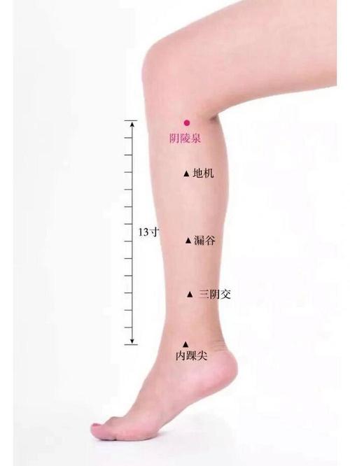 膝盖应该艾灸那些穴位