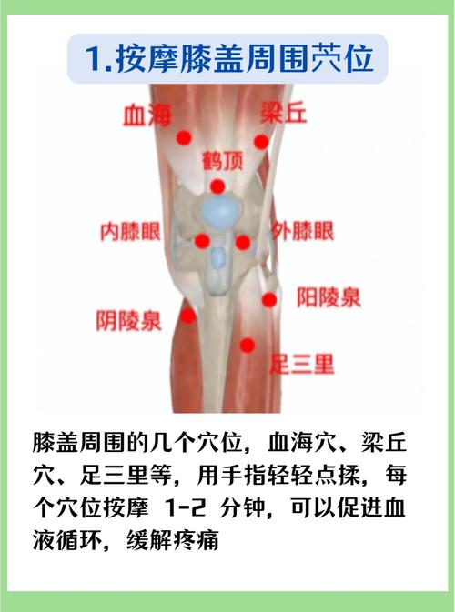 膝盖应该艾灸那些穴位