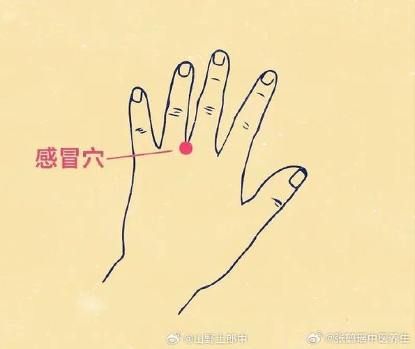 缓解感冒全身酸痛穴位