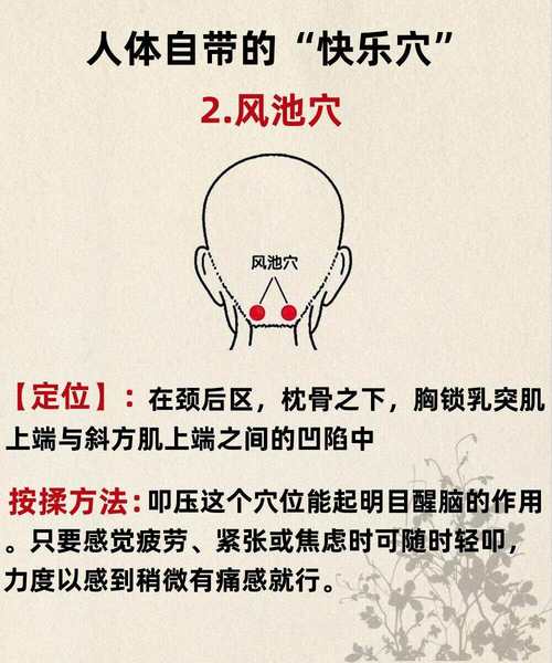 经常发呆按摩哪个穴位