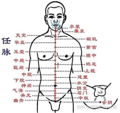 水分 阴交穴位置属性
