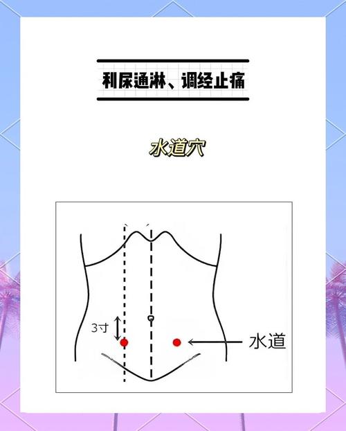 小便失禁针灸哪些穴位
