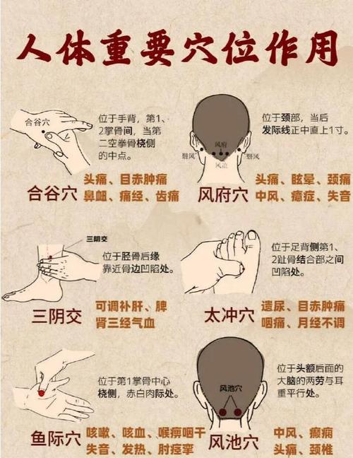 人体常用穴位按摩方法