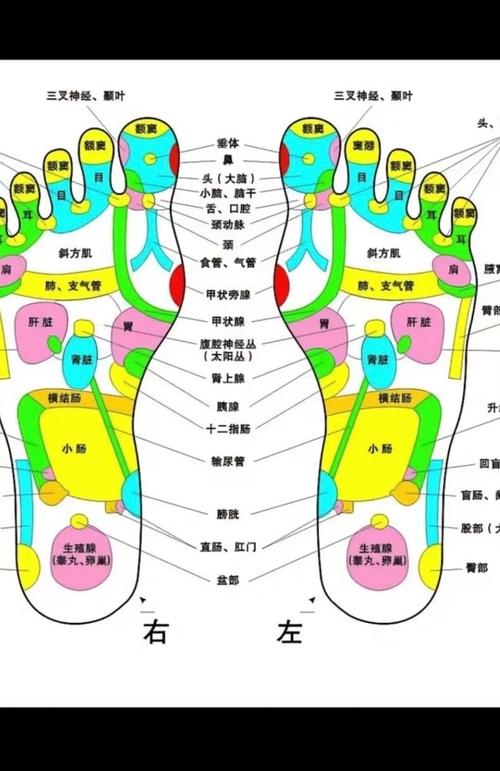 脚底穴位图及按.