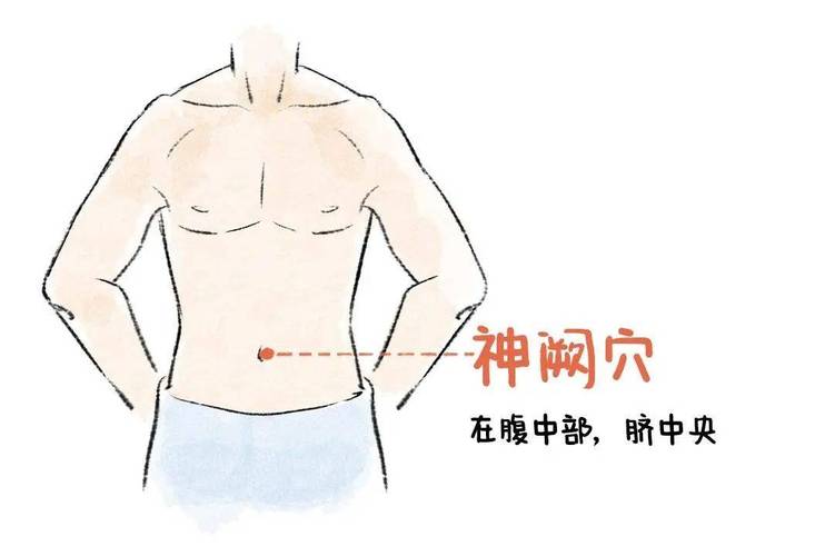 小穴位 大健康 减肥