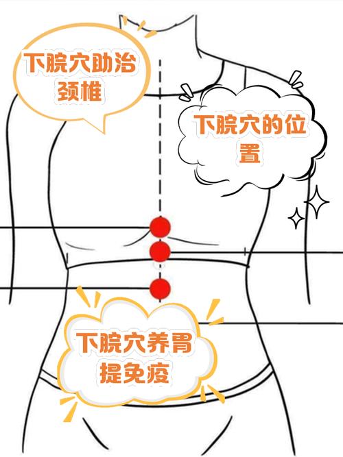 腹股沟疼按摩那个穴位