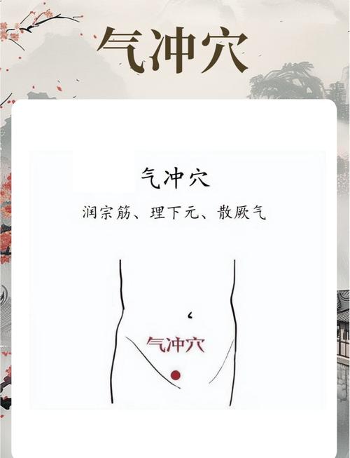 腹股沟疼按摩那个穴位