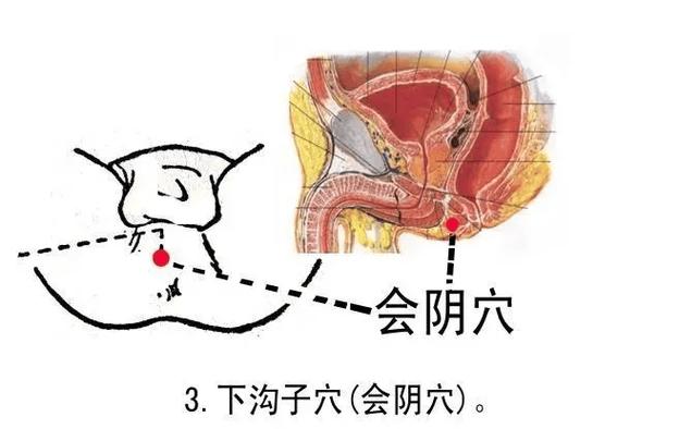 按摩哪个穴位可以勃起