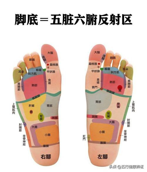 按摩哪个穴位可以勃起