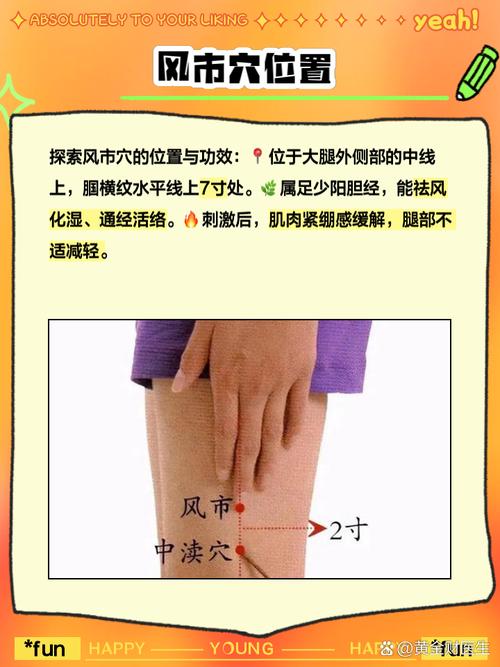 大腿外侧中间什么穴位