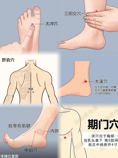 肝胆湿热针灸什么穴位