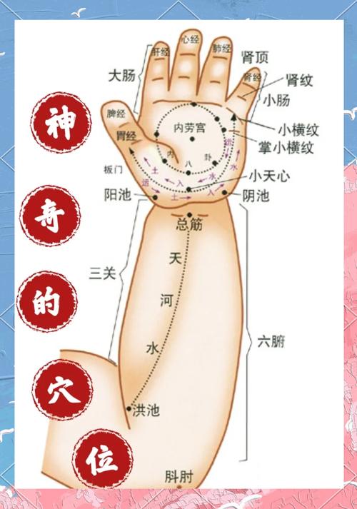 胳膊着凉按摩哪些穴位