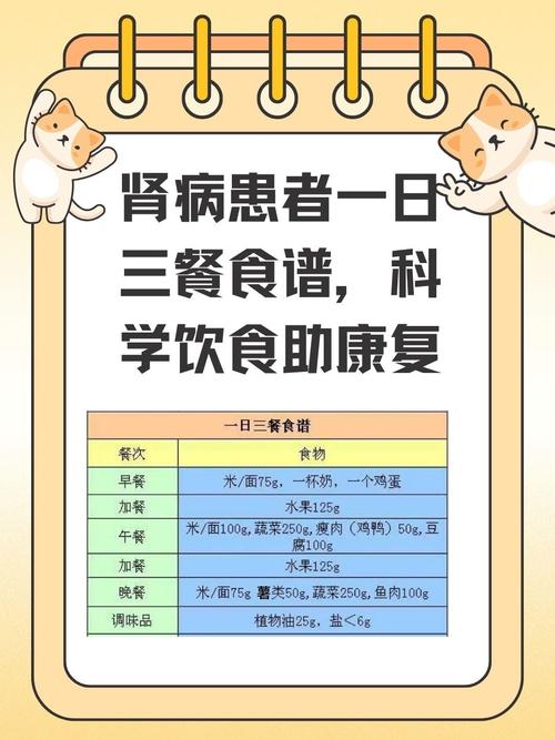 肾切除后一周饮食食谱