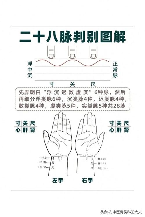 老中医把脉看男女原理