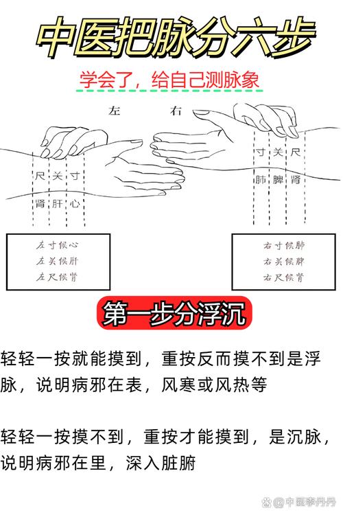 老中医把脉看男女原理