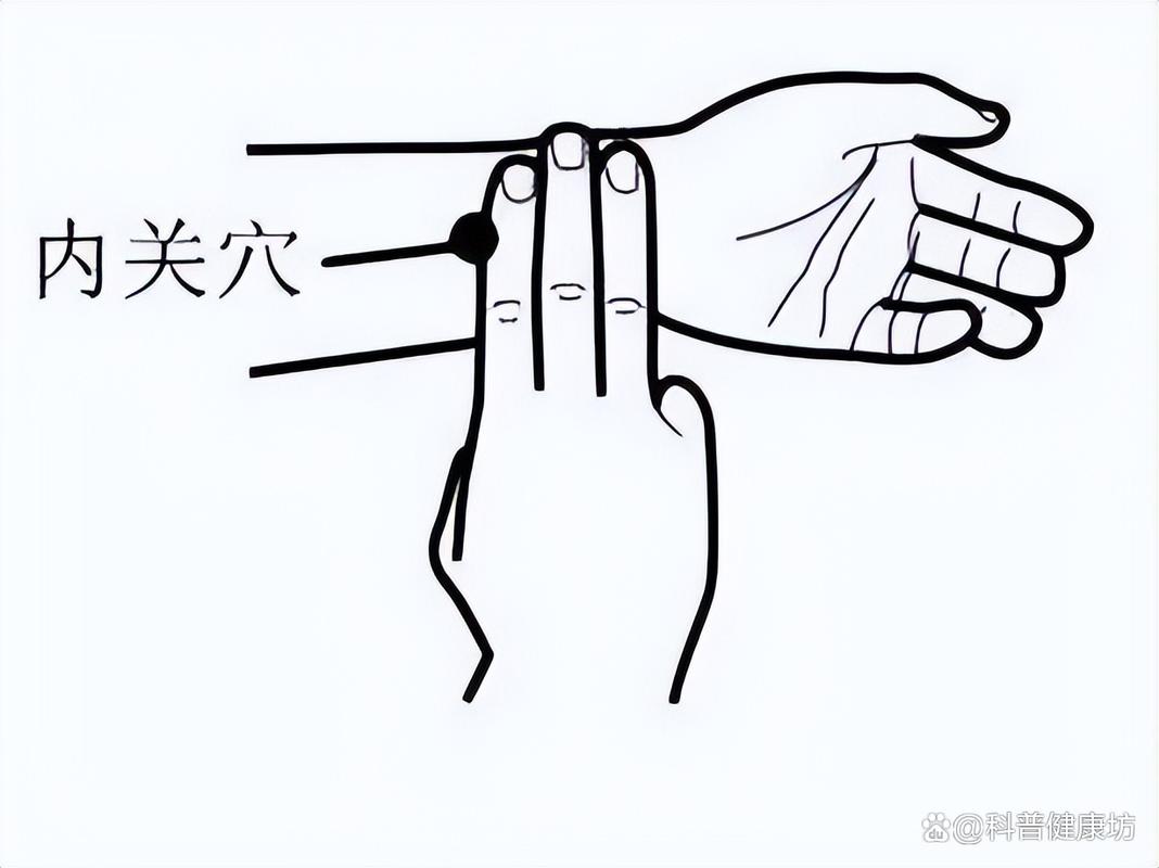 早搏按压哪个穴位治疗