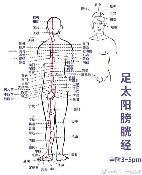 那个穴位治疗膀胱最好