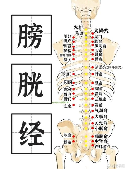 那个穴位治疗膀胱最好
