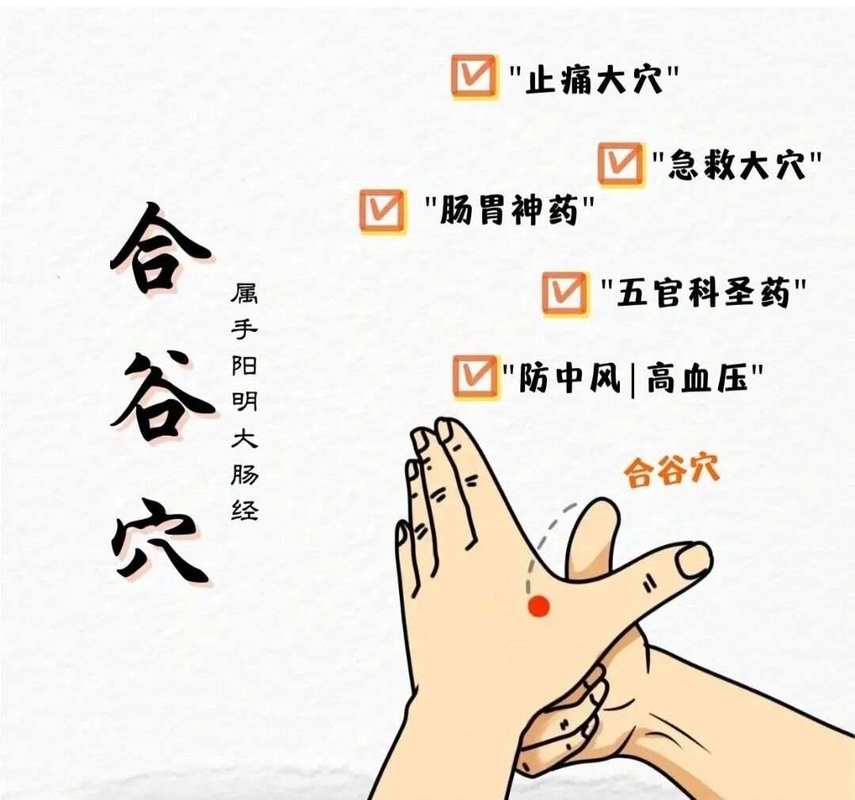 哪些穴位可以快速降压