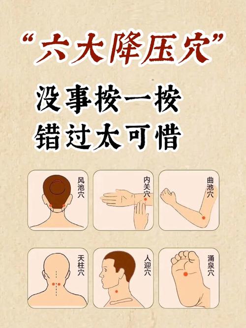 哪些穴位可以快速降压