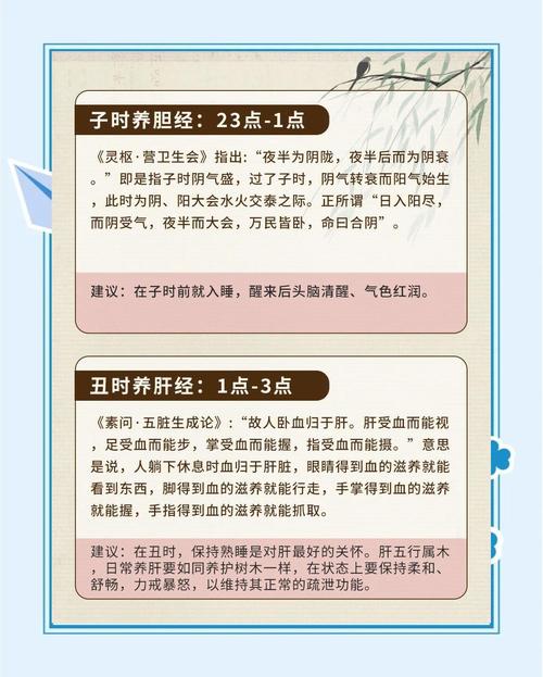 中医穴位养生十二经络