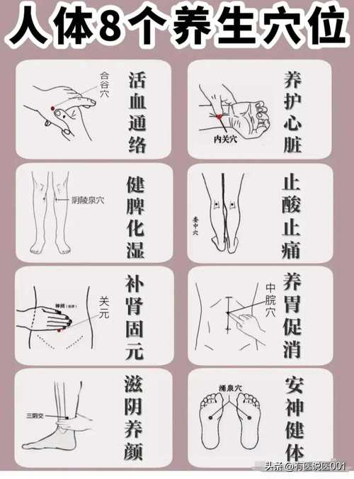 中医穴位养生十二经络