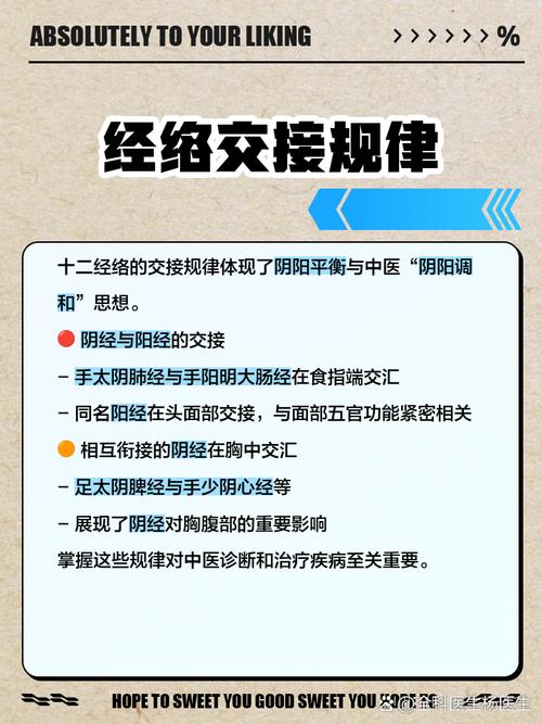 中医穴位养生十二经络