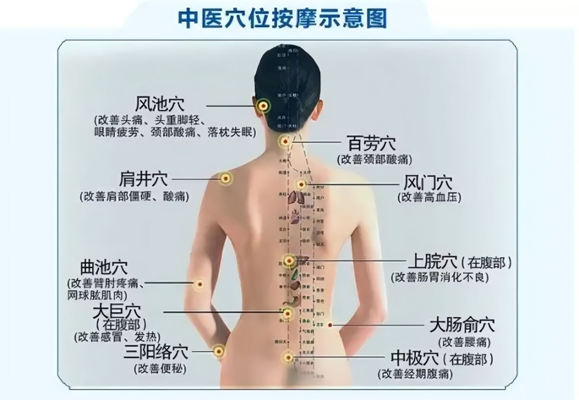 美容背部穴位按摩图片