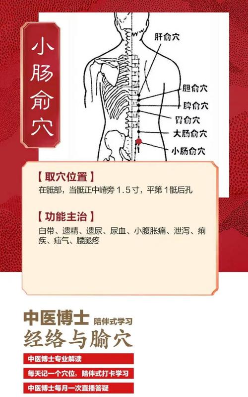 怎样通过穴位按摩结肠