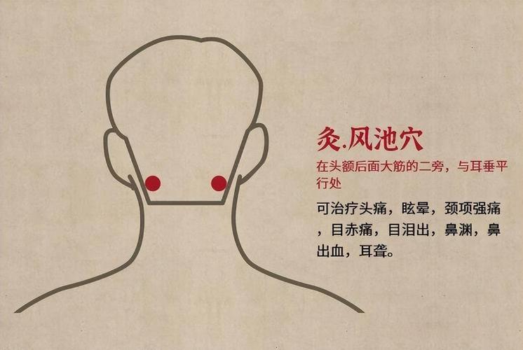 头疼按压哪个穴位好呢