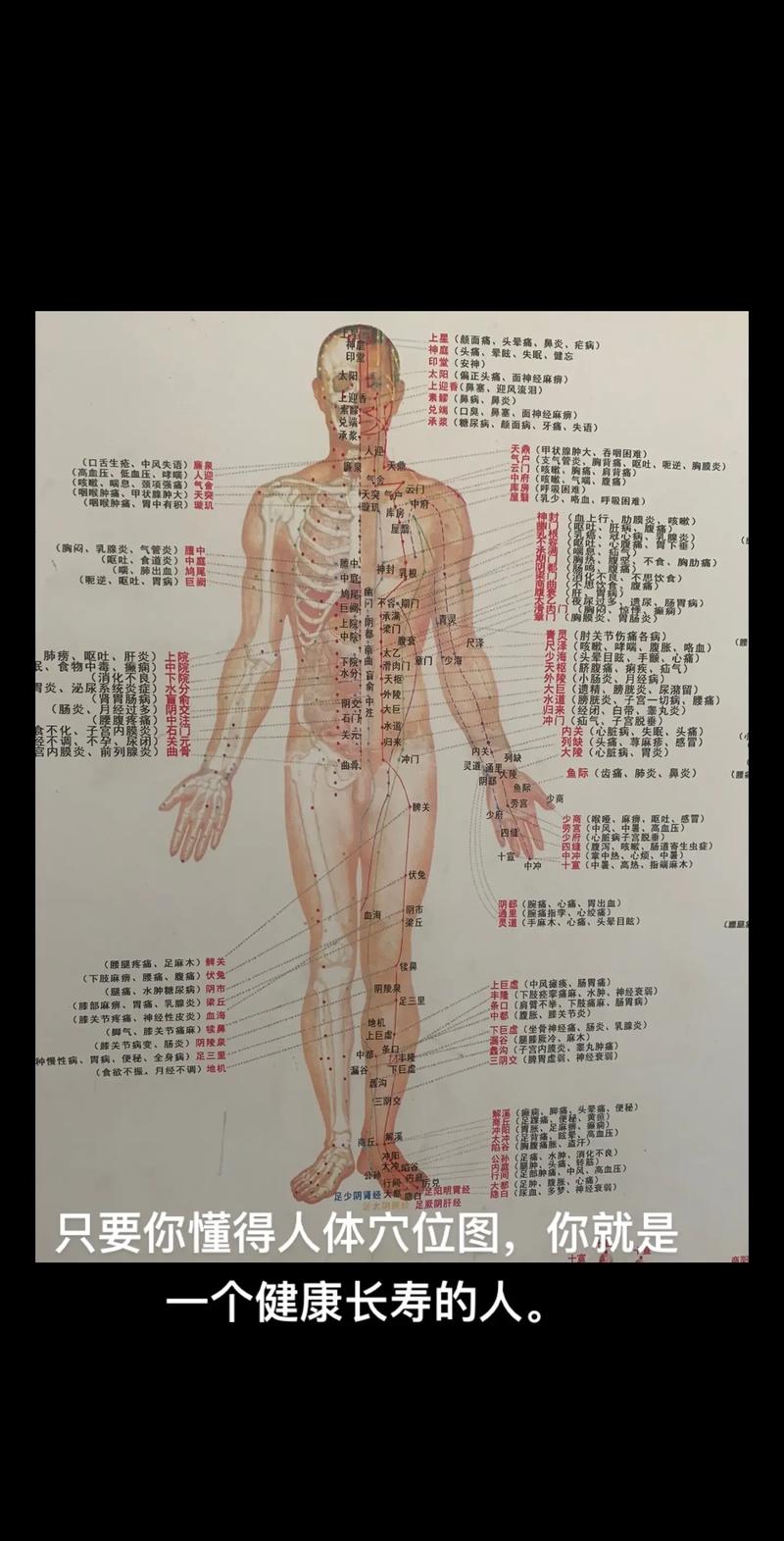 人体穴位经络图解视频