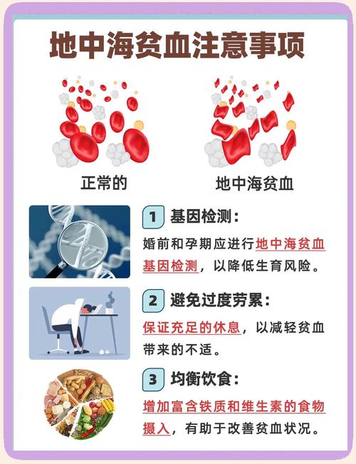 地中海贫血的饮食禁忌