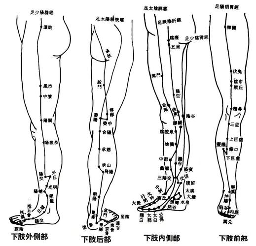 腿部哪些穴位减肥方法