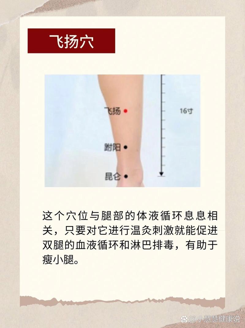 腿部哪些穴位减肥方法