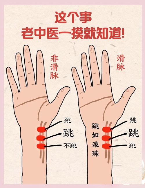 看中医是月经前还是后