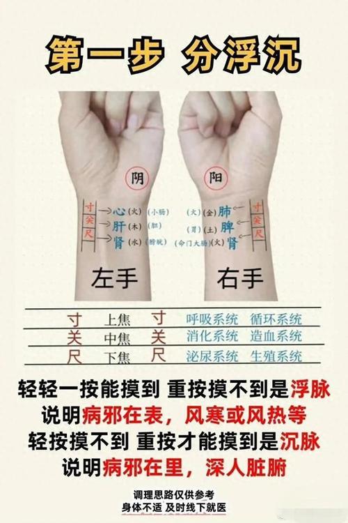 中医号脉能看出月经吗