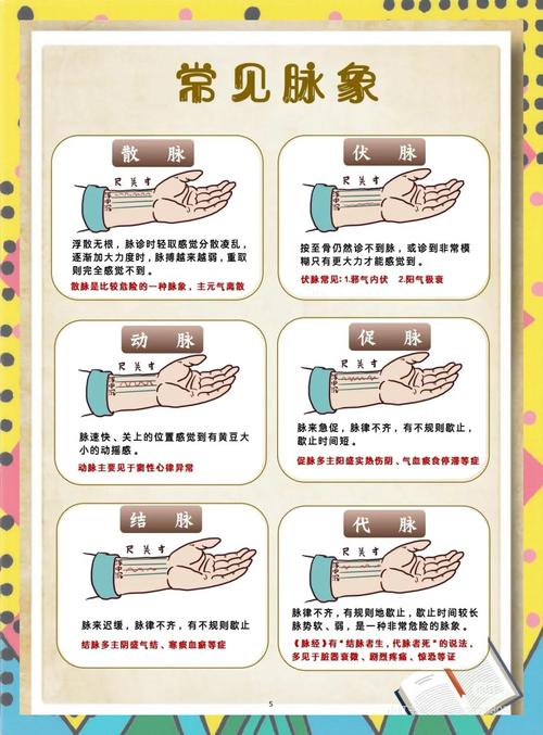 中医把脉摸的是什么脉