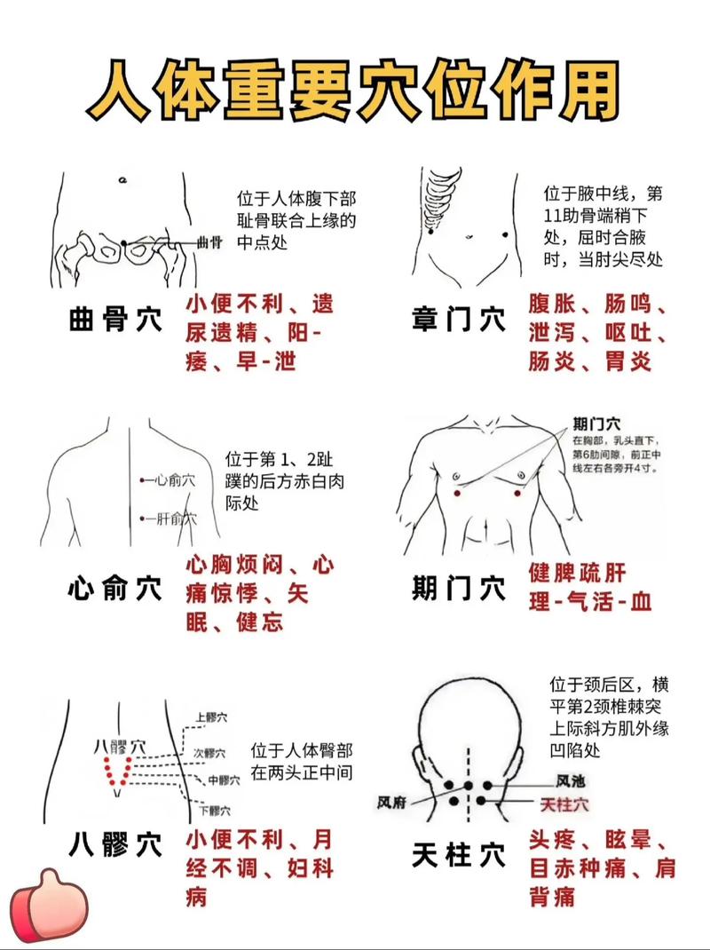 针灸如何准确找到穴位