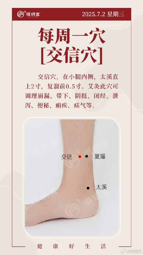 小腿冰凉艾灸什么穴位