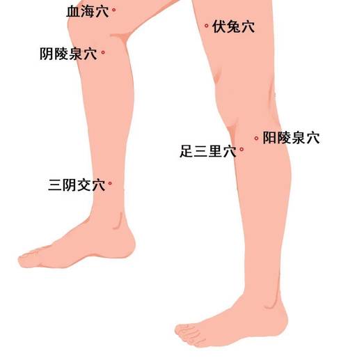 小腿冰凉艾灸什么穴位